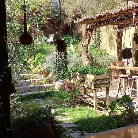 Apartamento En El Vivero Tilcara Zewnętrze zdjęcie