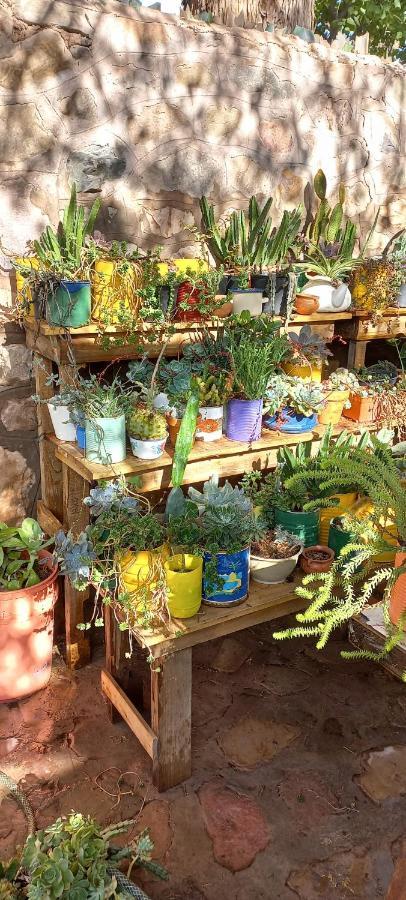 Apartamento En El Vivero Tilcara Zewnętrze zdjęcie