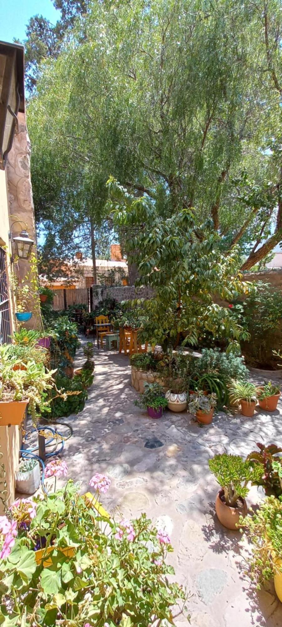 Apartamento En El Vivero Tilcara Zewnętrze zdjęcie